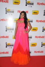 Meera on the Red Carpet of _60the Idea Filmfare Awards 2012(South).jpg